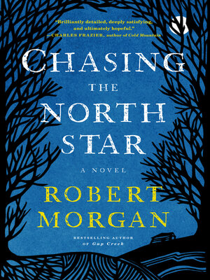 cover image of Chasing the North Star
